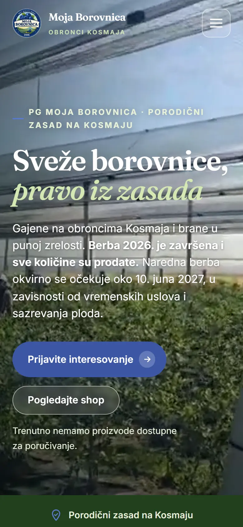 Moja Borovnica — sajt proizvodnog brenda — prikaz na telefonu